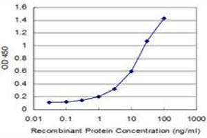 Detection limit for recombinant GST tagged USP9X is approximately 0. (USP9X Antikörper  (AA 1-90))
