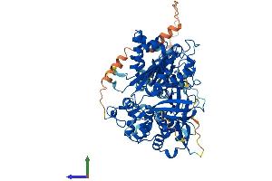 Protein Structure (PS) image for 5-Methyltetrahydrofolate-Homocysteine Methyltransferase Reductase (MTRR) (AA 1-696) protein (His tag) (ABIN7564497)