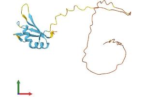 AlphaFold protein structure predicition of Mouse Recombinant Cirbp Protein, UniprotID P60824