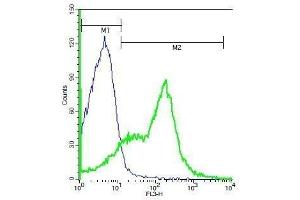 Mouse splenocytes probed with Rabbit Anti-CD19 Polyclonal Antibody, PE-Cy5 Conjugated . (CD19 Antikörper  (AA 151-250))