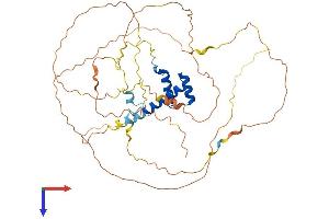 HLX Protein (AA 1-476) (His tag)
