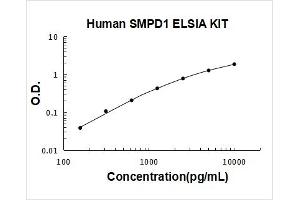 Sphingomyelin phosphodiesterase 1, Acid Lysosomal (SMPD1) ELISA Kit