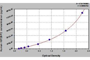 Typical Standard Curve (IGF2BP2 ELISA Kit)