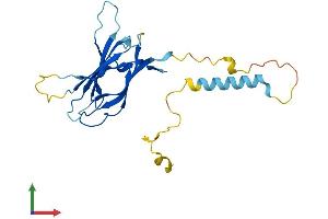 AlphaFold protein structure predicition of Human Recombinant NICN1 Protein, UniprotID Q9BSH3 (NICN1 Protein (AA 1-213) (His tag))