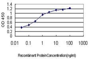 Detection limit for recombinant GST tagged RNF127 is approximately 0. (LONRF3 Antikörper  (AA 1-90))