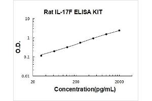 Interleukin 17F (IL17F) ELISA Kit