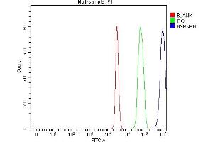 Flow Cytometry analysis of C6 cells using anti-HnRNP H/HNRNPH1 antibody (ABIN4886623).