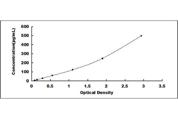 CXCL3 ELISA Kit