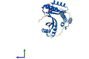 Protein Structure (PS) image for Coiled-Coil Domain Containing 44 (CCDC44) (AA 1-294) protein (His tag) (ABIN7559452)