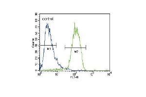 Flow Cytometry (FACS) image for anti-RAS Guanyl Releasing Protein 1 (Calcium and DAG-Regulated) (RASGRP1) (AA 495-521) antibody (ABIN652037)