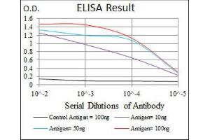 ELISA image for anti-Low Density Lipoprotein Receptor-Related Protein 5 (LRP5) antibody (ABIN1846200) (LRP5 Antikörper)