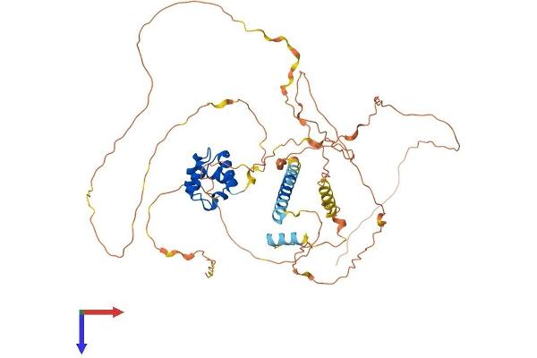 SAMD11 Protein (AA 1-542) (His tag)