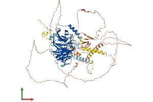 Protein Structure (PS) image for DDB1 and CUL4 Associated Factor 6 (DCAF6) (AA 1-876) protein (His tag) (ABIN7565014)