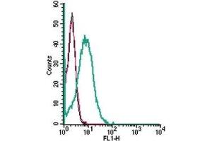 Cell surface detection of SLC28A3/CNT3 in live intact human HL-60 promyelocytic leukemia cells: (black line) Cells.