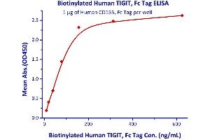 Immobilized Human CD155, Fc Tag  with a linear range of 9. (TIGIT Protein (AA 22-141) (Fc Tag,AVI tag,Biotin))