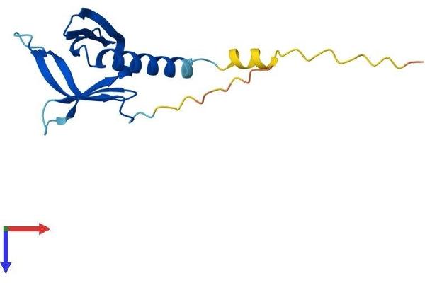 PHLDA2 Protein (AA 1-144) (His tag)
