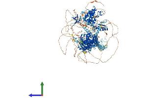 AlphaFold protein structure predicition of Human Recombinant BAZ1A Protein, UniprotID Q9NRL2