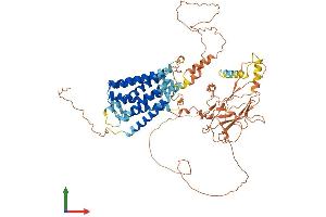 Protein Structure (PS) image for G Protein-Coupled Receptor 149 (GPR149) (AA 1-731) protein (His tag) (ABIN7548053)