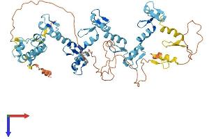 ZNF461 Protein (AA 1-563) (His tag)