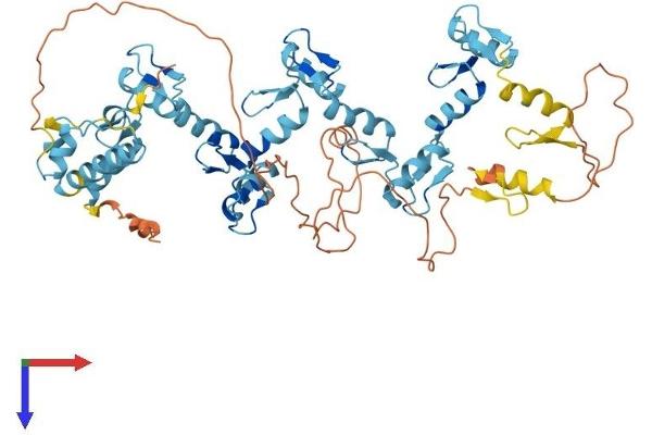 ZNF461 Protein (AA 1-563) (His tag)