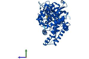 AlphaFold protein structure predicition of Mouse Recombinant Cyp2c54 Protein, UniprotID Q6XVG2