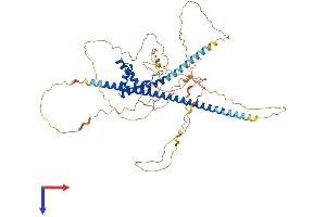 TOX3 Protein (AA 1-576) (His tag)
