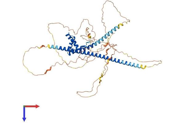 TOX3 Protein (AA 1-576) (His tag)