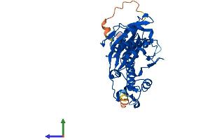 Protein Structure (PS) image for Aminoadipate-Semialdehyde Dehydrogenase-phosphopantetheinyl Transferase (AASDHPPT) (AA 1-309) protein (His tag) (ABIN7560539)