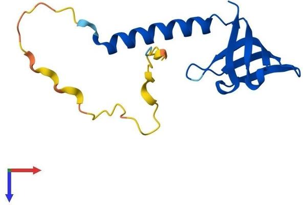 GEMIN7 Protein (AA 1-131) (His tag)
