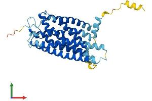 Protein Structure (PS) image for G Protein-Coupled Receptor 171 (GPR171) (AA 1-319) protein (His tag) (ABIN7558528)