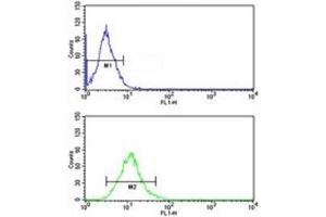 CD166 antibody flow cytometric analysis of NCI-H292 cells (green) compared to a negative control (blue). (CD166 Antikörper  (AA 58-87))