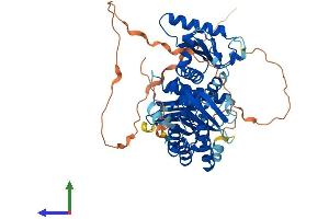 Protein Structure (PS) image for MON1 Homolog B (MON1B) (AA 1-547) protein (His tag) (ABIN7549425)