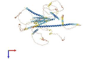 AlphaFold protein structure predicition of Mouse Recombinant Kiaa0753 Protein, UniprotID Q6A000