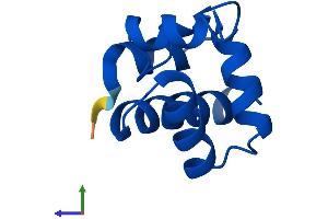 Protein Structure (PS) image for Barrier To Autointegration Factor 1 (BANF1) (AA 1-89) protein (His tag) (ABIN7552554)