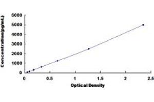 Typical standard curve (CCBL1 ELISA Kit)