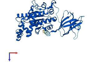 SEC14L2 Protein (AA 1-403) (His tag)