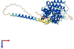 STYK1 Protein (AA 1-422) (His tag)