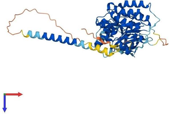 STYK1 Protein (AA 1-422) (His tag)