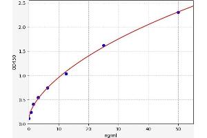 Typical standard curve (Adiponectin Receptor 2 ELISA Kit)