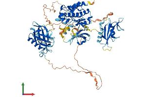 Protein Structure (PS) image for BMX Non-Receptor Tyrosine Kinase (BMX) (AA 1-675) protein (His tag) (ABIN7552620)