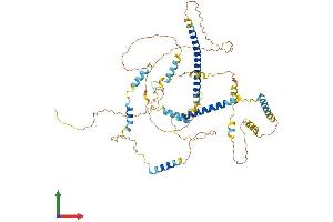 Protein Structure (PS) image for Fibrous Sheath Interacting Protein 1 (FSIP1) (AA 1-581) protein (His tag) (ABIN7547874)