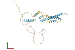 Protein Structure (PS) image for Calcium Modulating Ligand (CAMLG) (AA 1-294) protein (His tag) (ABIN7563331)