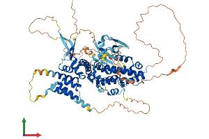 Protein Structure (PS) image for Ral Guanine Nucleotide Dissociation Stimulator-Like 3 (RGL3) (AA 1-710) protein (His tag) (ABIN7551304)