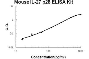 Mouse IL-27 p28 Accusignal ELISA Kit Mouse IL-27 p28 AccuSignal ELISA Kit standard curve. (IL-27 ELISA Kit)