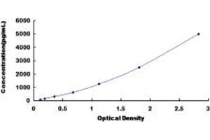 Typical standard curve (L1CAM ELISA Kit)