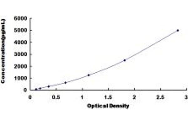 L1CAM ELISA Kit