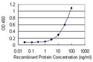 Detection limit for recombinant GST tagged MAF1 is 1 ng/ml as a capture antibody. (MAF1 Antikörper  (AA 1-256))