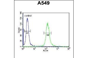 Flow cytometric analysis of A549 cells (right histogram) compared to a negative control cell (left histogram). (LOH12CR1 Antikörper  (C-Term))