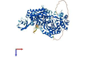 PIWIL4 Protein (AA 1-852) (His tag)