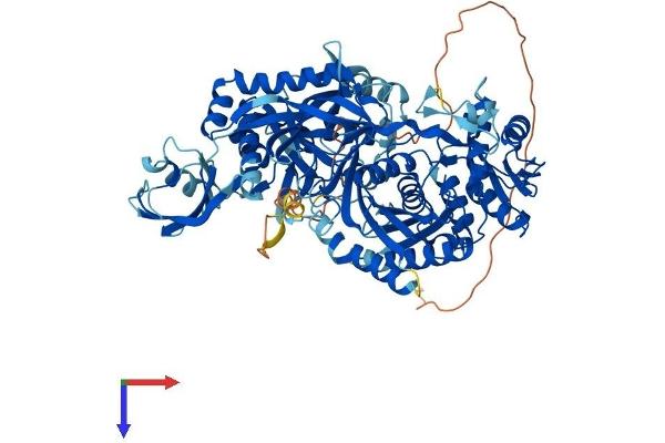 PIWIL4 Protein (AA 1-852) (His tag)